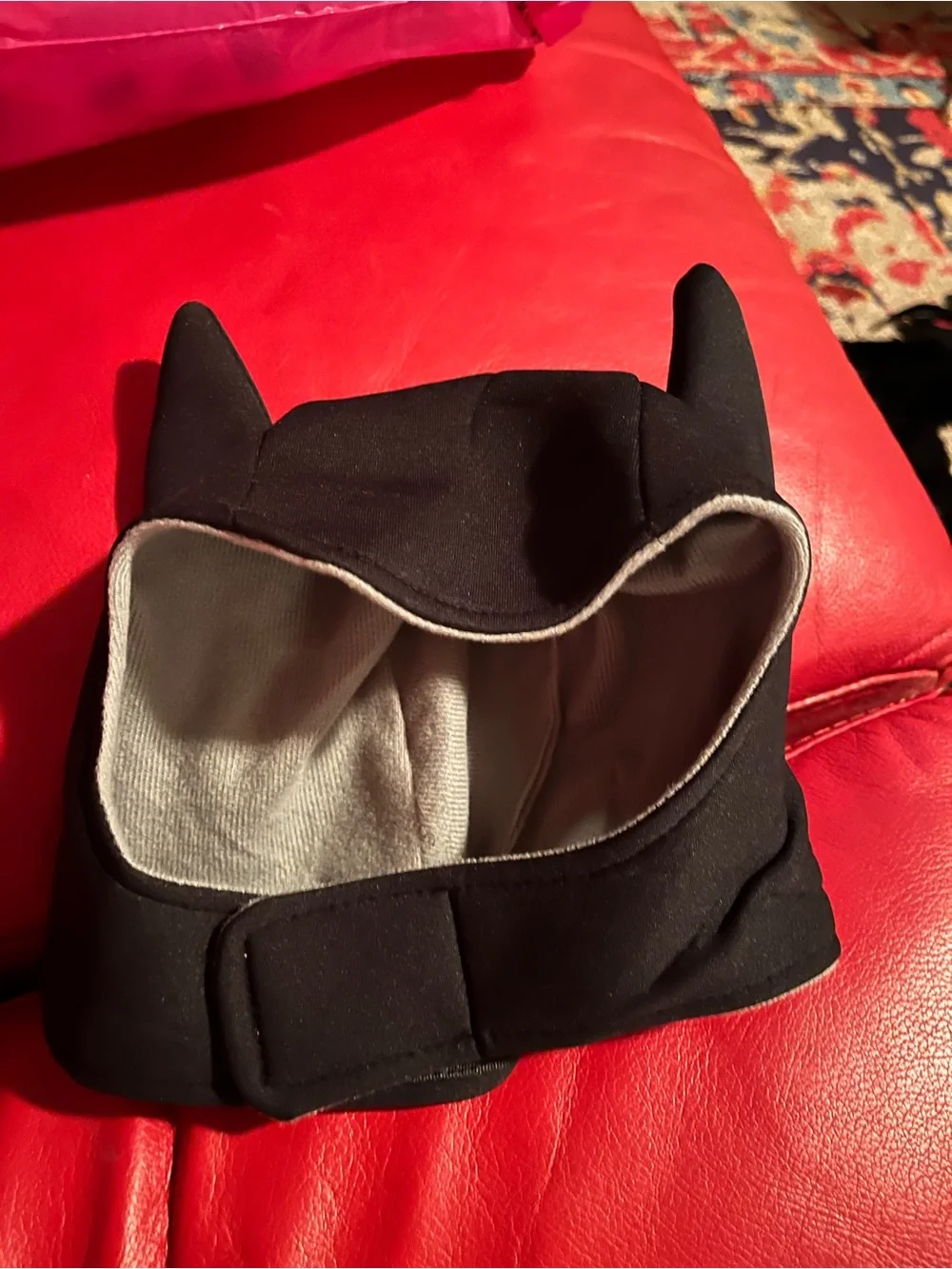 Top Paw bat wing/hat harness/costume